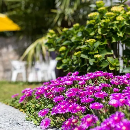 Villa Dramalj Dramalj